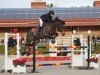 jumper Itchy del Maset (Spanish Sport Horse, 2017, from Indret del Masset)