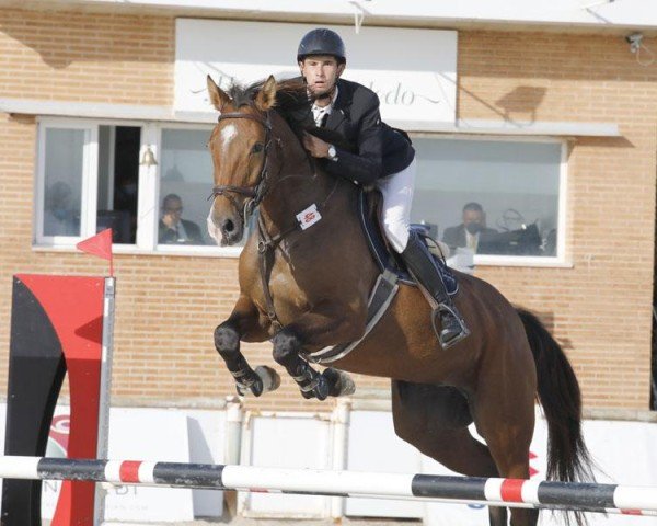 jumper Evettas del Maset (Spanish Sport Horse, 2016, from Eilan del Maset)