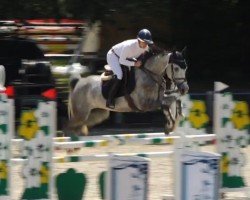 jumper Caro S 4 (Oldenburg show jumper, 2018, from Caroly)