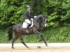 dressage horse Parid 3 (Oldenburg, 2018, from De Niro Gold 3)