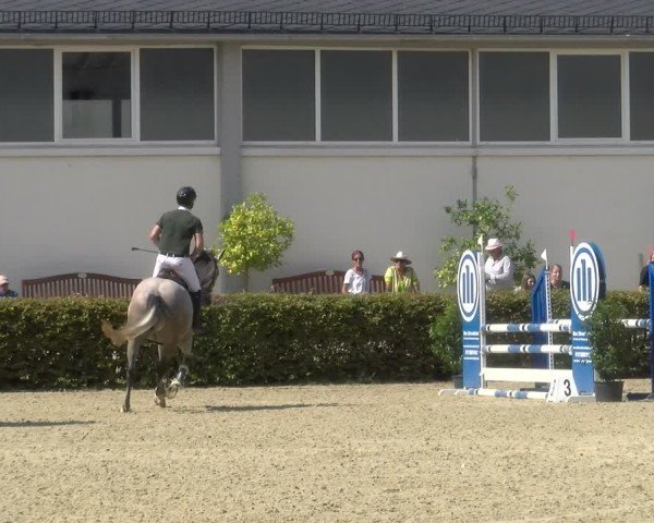 Reitturnier St.Wendel, Gestüt Welvert 2024
