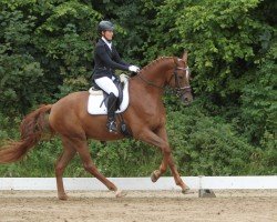 dressage horse Belisimo (Mecklenburg, 2017, from Bernay)