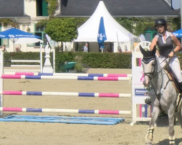 Reitturnier St.Wendel, Gestüt Welvert 2024