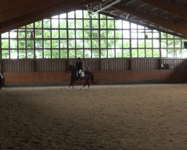 Fröndenberg 2013