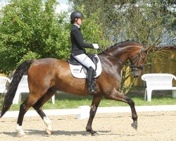 dressage horse Bengie 6 (Mecklenburg, 2019, from Bernay)