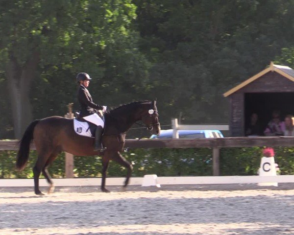 Reitturnier Müncheberg 2024