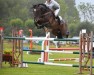 stallion Eilan del Maset (Spanish Sport Horse, 2011, from Emilion)