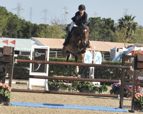 jumper Insignia del Maset (Spanish Sport Horse, 2008, from Indret del Masset)