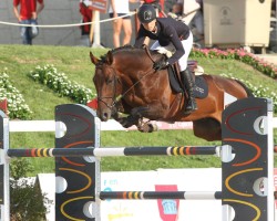 jumper Ibar del Masset (Spanish Sport Horse, 2006, from Obsession B)