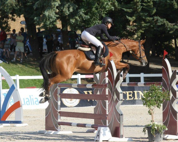 jumper Ilandia del Maset (Spanish Sport Horse, 2007, from Indret del Masset)