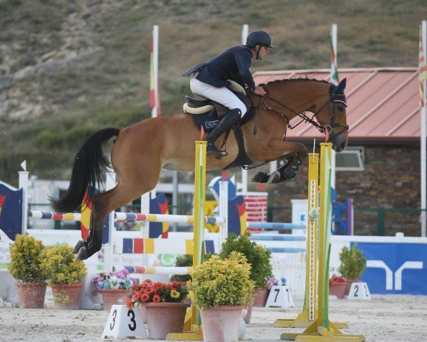 jumper Iscara del Maset (Spanish Sport Horse, 2006, from Indret del Masset)