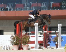 jumper Ineta del Maset (Spanish Sport Horse, 2007, from Indret del Masset)