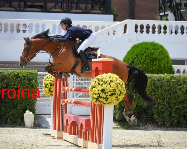 jumper Eroina del Maset (Spanish Sport Horse, 2012, from Emilion)