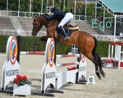 jumper Ego del Maset (Spanish Sport Horse, 2012, from Emilion)