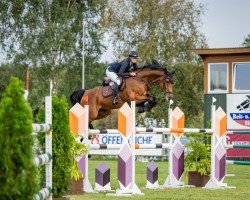 jumper Electric Avenue GA (Oldenburg show jumper, 2017, from Elliot van Ter Hulst)