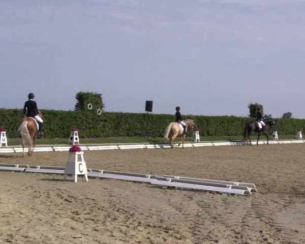 Reitturnier Ennigerloh-Neubeckum 2024