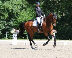 dressage horse Fürst Fiorio (Hanoverian, 2018, from Finnigan)