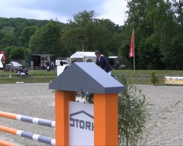 Remmighausen 2013