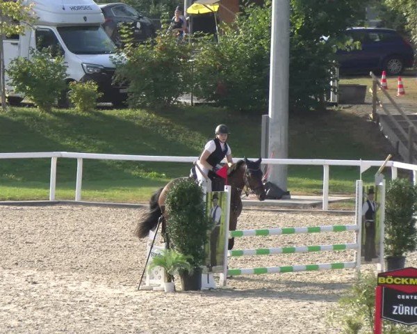 Reitturnier Bülach 2024