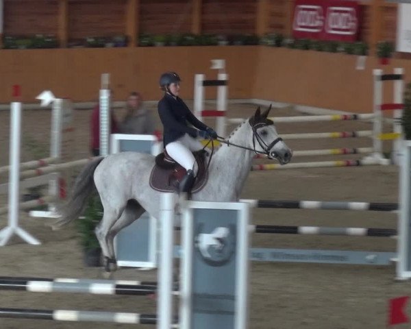 Springturnier Xanten - Reitanlage Miss 2021