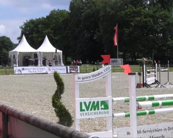 Remmighausen 2013