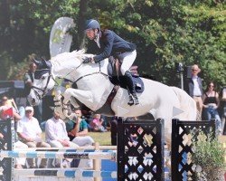 jumper Cellestano (German Sport Horse, 2017, from Cellestial)