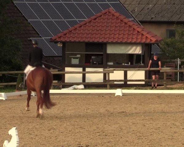 Reitturnier Vlotho-Valdorf 2024