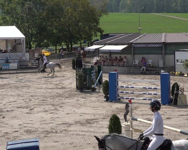 Reitturnier Humlikon 2024