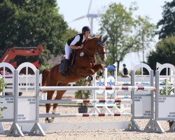 jumper Fantastic Orange Z (Zangersheide riding horse, 2016, from For Pleasure)