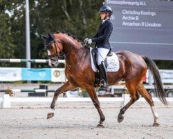 dressage horse Archie B (Westphalian, 2019, from Arcachon)