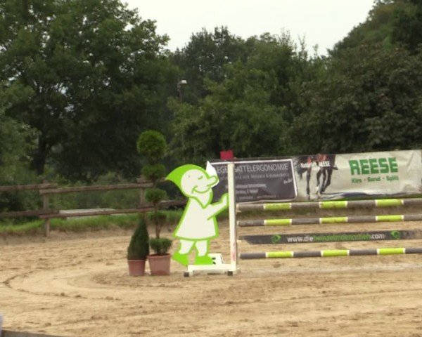 Reitturnier Vlotho-Valdorf 2024