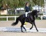 broodmare Farah Diva Gs CH (Swiss Warmblood, 2012, from Faustinus)