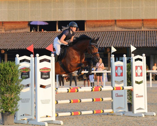 jumper Caltessa Z (Zangersheide riding horse, 2013, from Chellano Alpha Z)