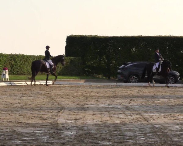Reitturnier Ennigerloh-Neubeckum 2024