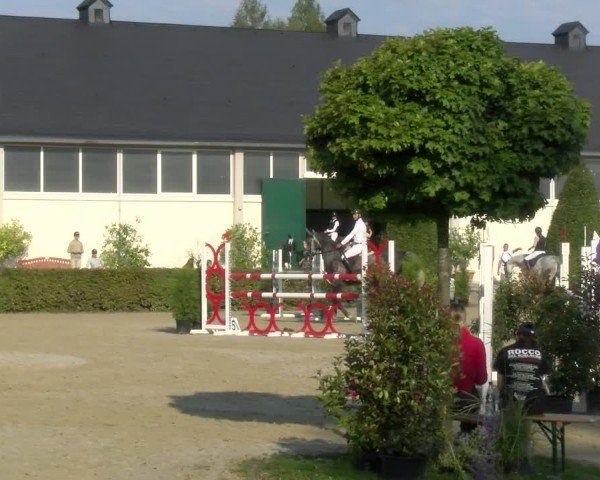 Reitturnier St.Wendel, Gestüt Welvert 2024