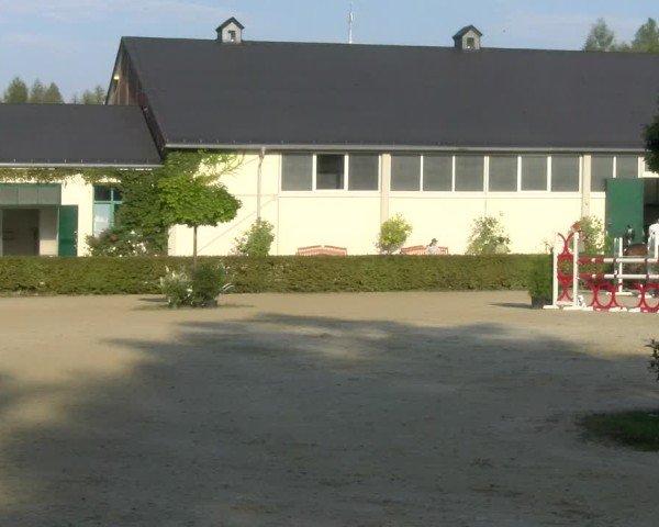 Reitturnier St.Wendel, Gestüt Welvert 2024