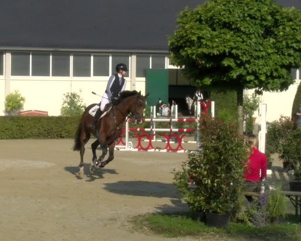 Reitturnier St.Wendel, Gestüt Welvert 2024