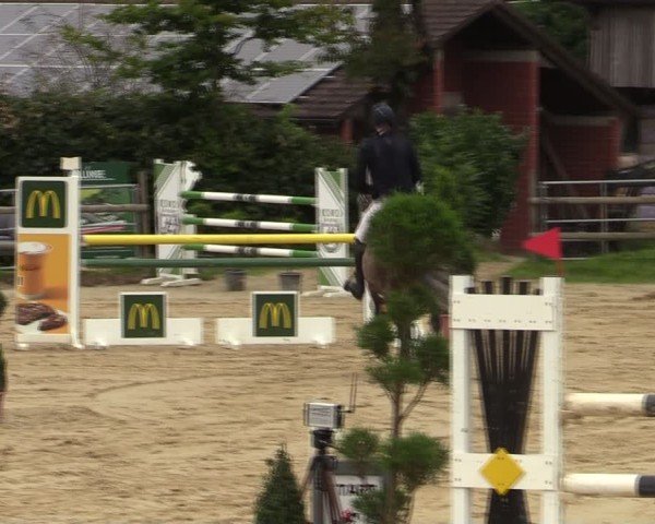 Reitturnier Vlotho-Valdorf 2024