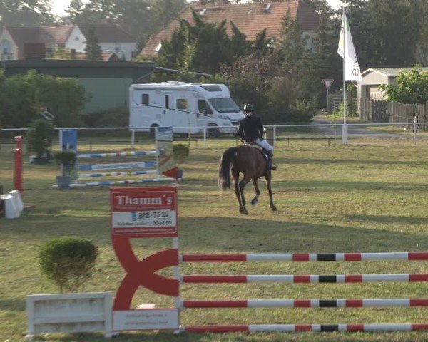 Reitturnier Reckahn 2024