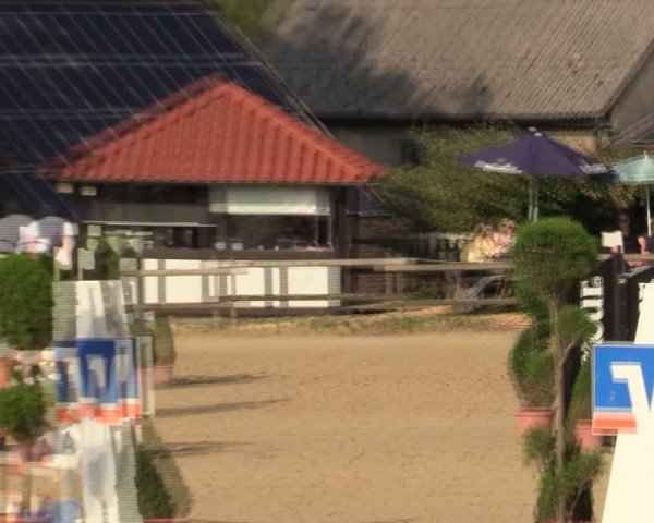 Reitturnier Vlotho-Valdorf 2024