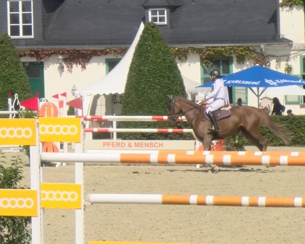 Reitturnier St.Wendel, Gestüt Welvert 2024