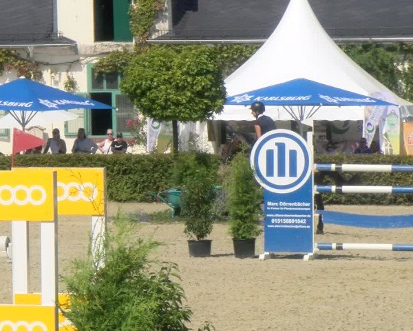 Reitturnier St.Wendel, Gestüt Welvert 2024