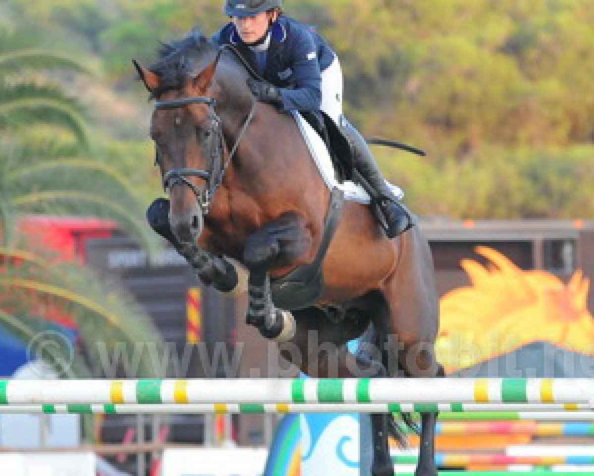 jumper Unique de Rhodes (Selle Français, 2008, from Diamant de Semilly)