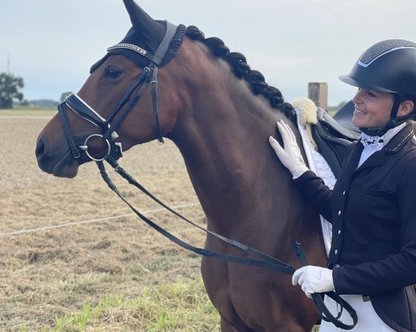 Dressurpferd Rock it Babe KH (Deutsches Reitpony, 2019, von Dan Kano AT)