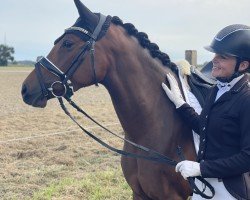 Dressurpferd Rock it Babe KH (Deutsches Reitpony, 2019, von Dan Kano AT)