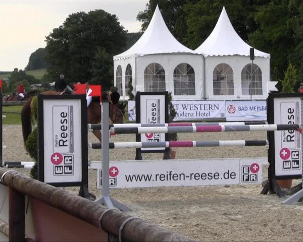 Remmighausen 2013
