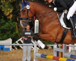 dressage horse Frizzantino 27 (Oldenburg, 2013, from Feedback 16)