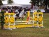 jumper Mount Ross Gypsy (Connemara Pony, 2011, from Lycon Cong Blossom)