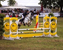 jumper Mount Ross Gypsy (Connemara Pony, 2011, from Lycon Cong Blossom)