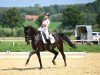 dressage horse Le Noir V (Hanoverian, 2016, from Le Vivaldi)